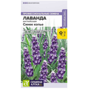 Лаванда Синие копье Семена Алтая Ц Лаванда Синие копье Семена Алтая Ц