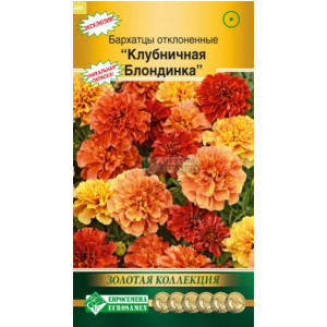 Бархатцы Клубничная блондинка ЕС Ц Бархатцы Клубничная блондинка ЕС Ц