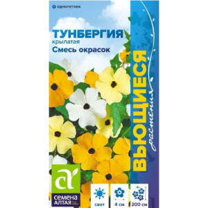 Тунбергия Смесь окрасок крылатая/Сем Алт/цп 0,3 гр. Вьющиеся растения Тунбергия Смесь окрасок крылатая/Сем Алт/цп 0,3 гр. Вьющиеся растения