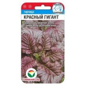 Горчица Красный гигант СибСад