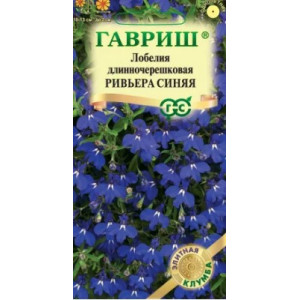Лобелия Ривьера синяя Гавриш Ц Лобелия Ривьера синяя Гавриш Ц