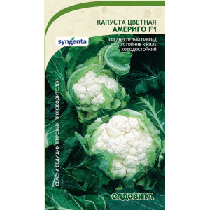 Капуста цветная Америго F1 Syngenta/Садовита Ц