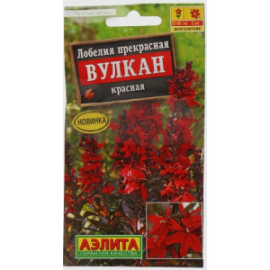 Лобелия Вулкан красная Аэлита Ц Лобелия Вулкан красная Аэлита Ц