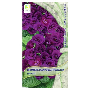 Примула Розелла Парпл махровая Поиск Ц Примула Розелла Парпл махровая Поиск Ц