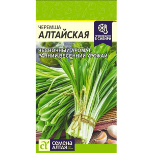 Черемша Алтайская Семена Алтая