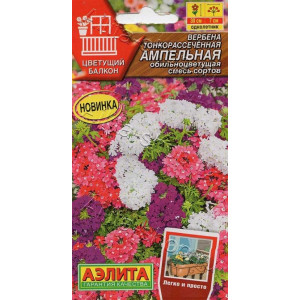 Вербена Ампельная Аэлита Ц Вербена Ампельная Аэлита Ц