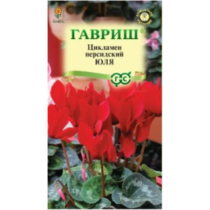 Цикламен Юля персидский Гавриш Ц Цикламен Юля персидский Гавриш Ц