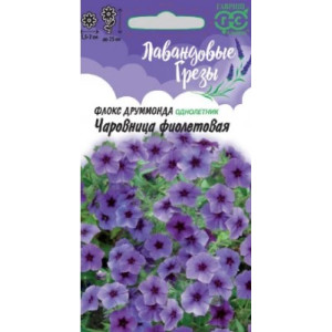 Флокс Чаровница Фиолетовая друммонда Гавриш Ц Флокс Чаровница Фиолетовая друммонда Гавриш Ц