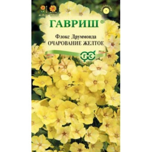 Флокс Очарование Желтое друммонда Гавриш Ц Флокс Очарование Желтое друммонда Гавриш Ц
