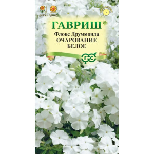 Флокс Очарование Белое друммонда Гавриш Ц Флокс Очарование Белое друммонда Гавриш Ц