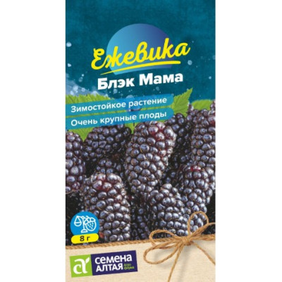 Ежевика Блэк Мама Семена Алтая