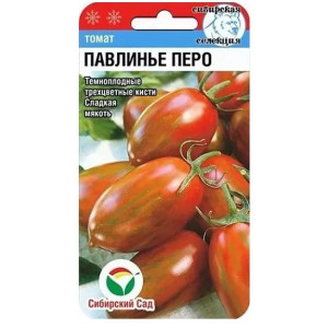 Томат Павлинье перо СибСад Ц