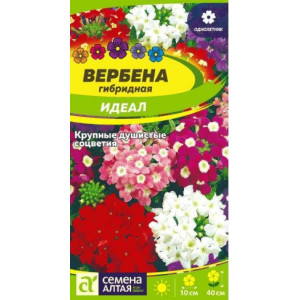 Вербена Идеал гибридная/Сем Алт/цп 0,1гр. Вербена Идеал гибридная/Сем Алт/цп 0,1гр.