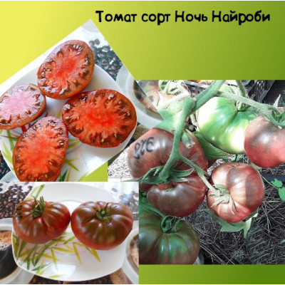 Томат Ночи Найроби Коллекционные сорта