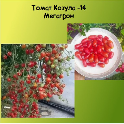 Томат Козула 14 Мегагрон Коллекционные сорта
