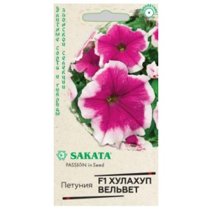 Петуния Халахуп Вельвет Гавриш Ц