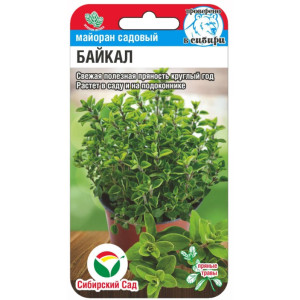 Майоран Байкал СибСад Ц