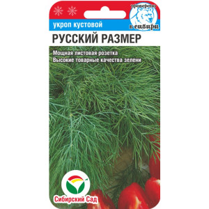 Укроп Русский размер СибСад Ц