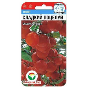 Томат Сладкий поцелуй СибСад Ц