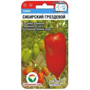 Томат Сибирский гроздевой СибСад Ц