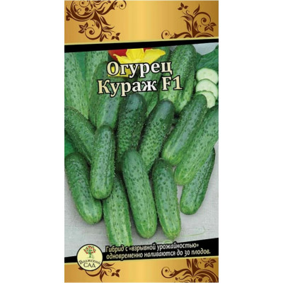 Огурец Кураж  Волжский сад Ц