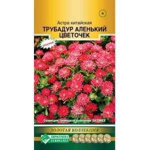 Астра Трубадур Аленький цветочек ЕС Ц Астра Трубадур Аленький цветочек ЕС Ц