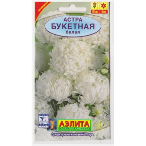 Астра Букетная Белая АЭ
