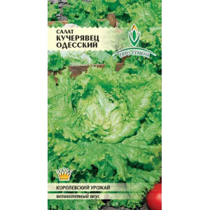Салат Кучерявец Одесский
