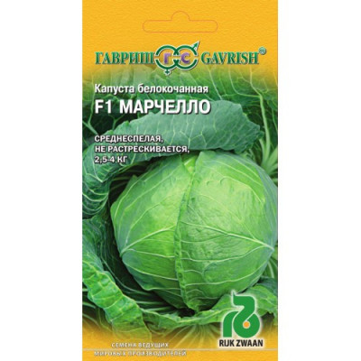 Капуста Марчелло белокоч. F1 10шт. для квашения (Голландия) Гавриш Цветной пакет