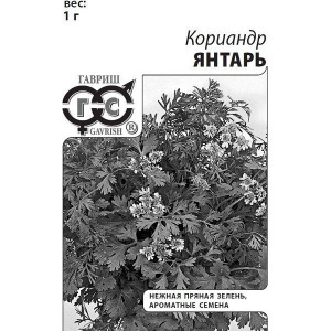 Кориандр Янтарь Гавриш Белый пакет