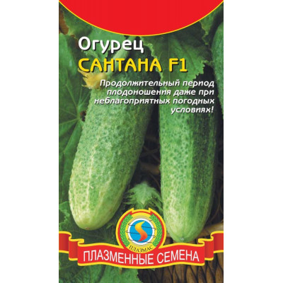 Огурец Сантана (Уральский Дачник) Ц