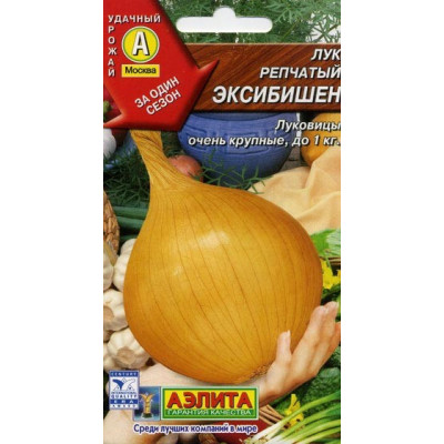 Лук Эксибишен Лидер Аэлита