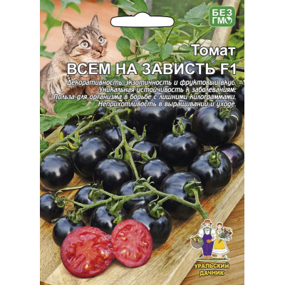 Томат Всем на зависть черно-фиолет УД