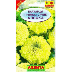Бархатцы Аляска прямостоячие Аэлита Цветной пакет