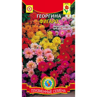 Георгина Фигаро смесь Гавриш Цветной пакет