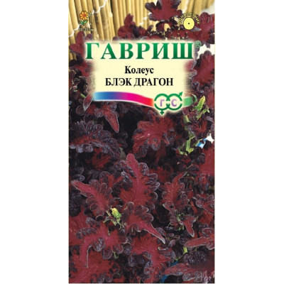Колеус Блек Драгон Гавриш Цветной пакет
