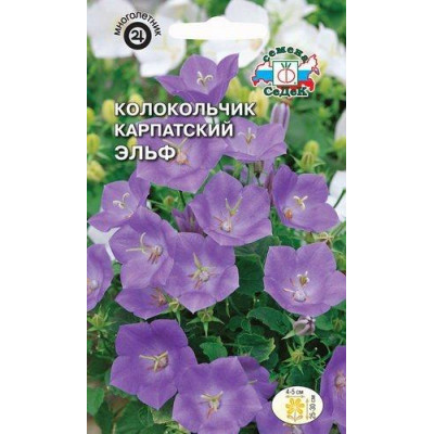 Колокольчик Карпатский Эльф голубой (Седек) Ц