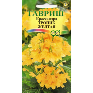 Кроссандра Тропик желтая 3шт. серия Элитная клумба Гавриш Цветной пакет