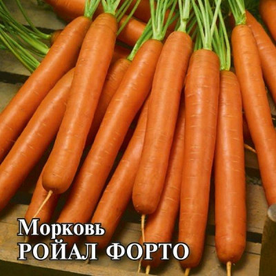 Морковь Роял Форто Аэлита Белый пакет