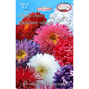 Астра Смесь Срезочных сортов (Сказка) п.2827