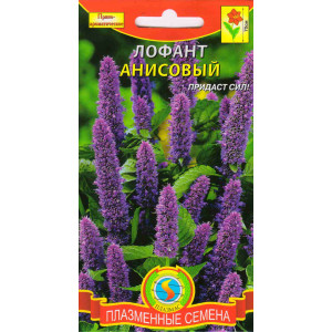Лофант анисовый (Агроника) Плазменные семена Ц