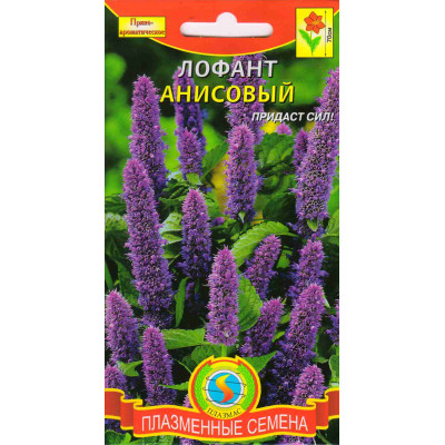 Лофант анисовый (Агроника) Плазменные семена Ц
