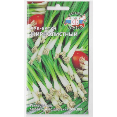 Лук Батун Жирнолистный (Седек) Ц