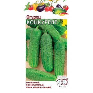 Огурец Конкурент Ц Гавриш
