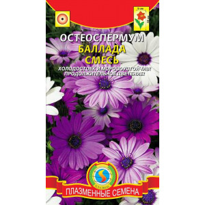 Остеоспермум Балада Смесь