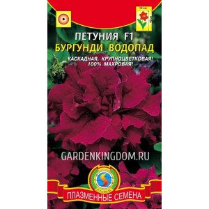 Петуния Водопад Бургунди каскад, махр