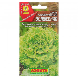 Салат Волшебник полукочанный Аэлита Цветной пакет