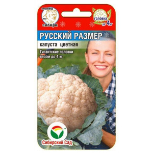 Капуста цветная Русский Размер СС Ц