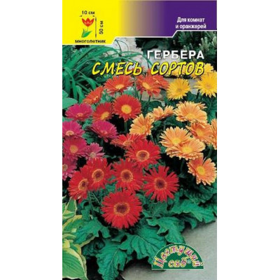 Гербера Смесь сортов ЦС
