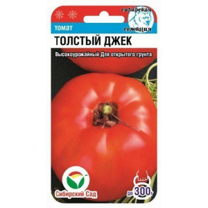 Томат Толстый Джек Сиб.Сад.